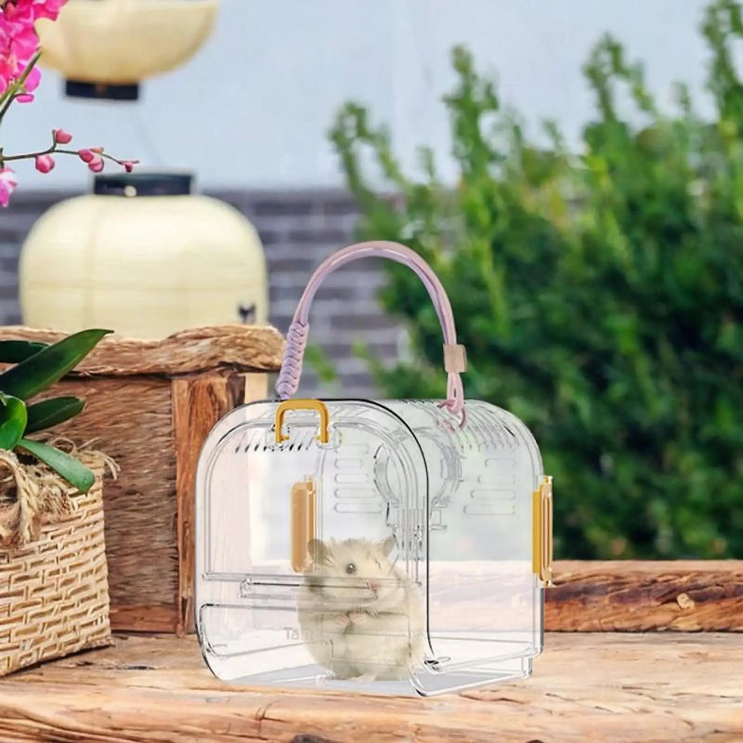 Caixa de Transporte para roedores