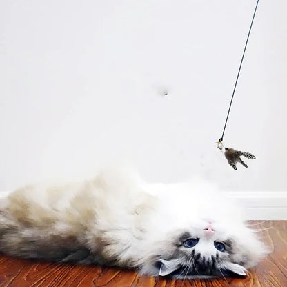 Brinquedo de pena para gatos